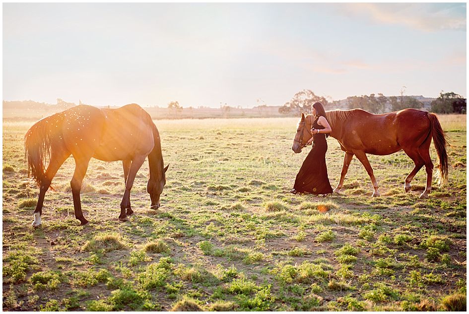 farm shoot with horses